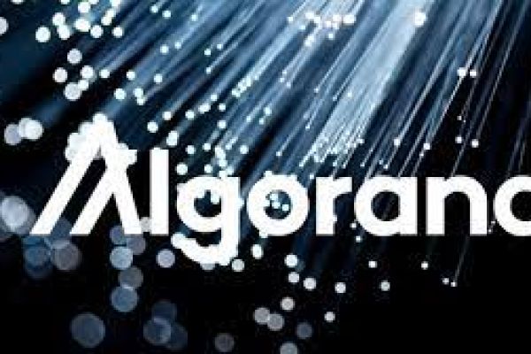 Algorand CEO’s hacked account dances into pole position