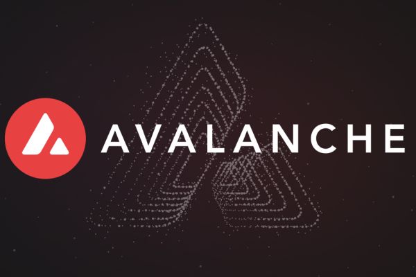 Avalanche Foundation is about to start buying memecoins for the ‘culture’