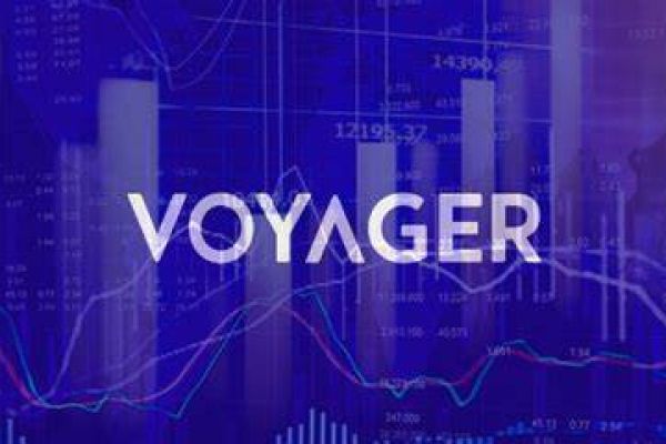 Bankrupt Voyager secures $484.35M for creditor repayments