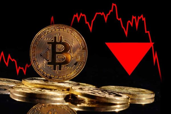 Bitcoin and select altcoins show resilience even as the crypto market sell-off continues