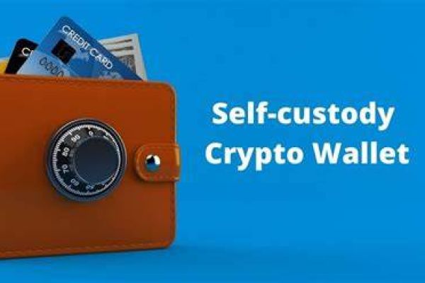 Breaking barriers: A platform aims to overcome self-custody wallet challenges