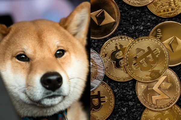 Crypto users react to death of Shiba Inu behind viral memes