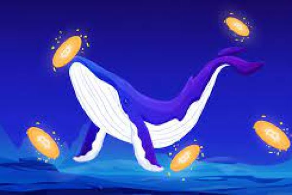 Crypto Whales Buy and Stake $45.5 Million in Ethereum (ETH): Price Impact