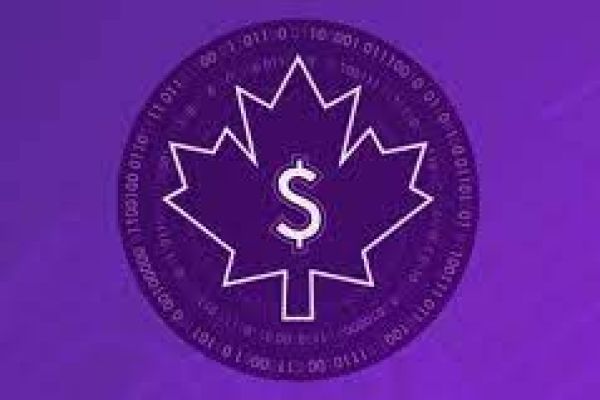 Digital Canadian dollar fails to impress despite high awareness