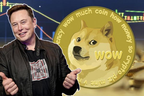 Dogecoin drama takes legal turn, DigiToads presale wins over whales