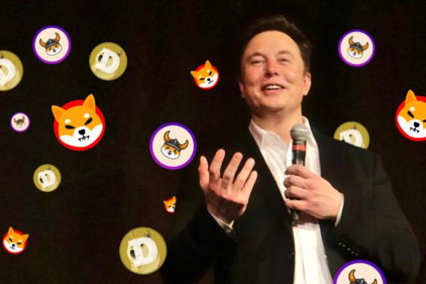 Dogecoin Investors’ Class Action Lawsuit Now Accuses Elon Musk of Insider Trading