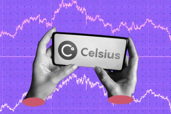 Ex-Algorand CEO Steve Kokinos tapped to lead Celsius 2.0