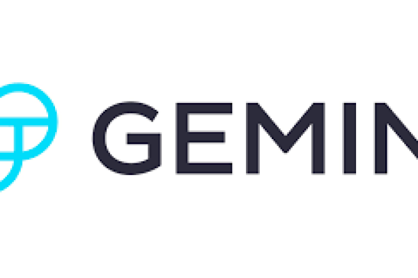 Gemini invests $24M for expansion in India