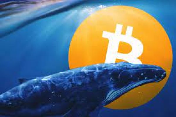 GROK whales decry supposed FUD from crypto sleuth ZachXBT