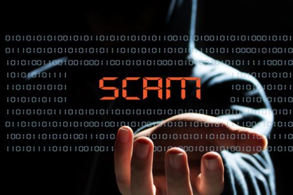 Rampant scams highlight critical need for greater crypto literacy