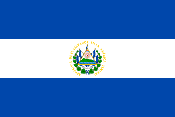 Salvadoran pro-Bitcoin President Nayib Bukele launches reelection bid