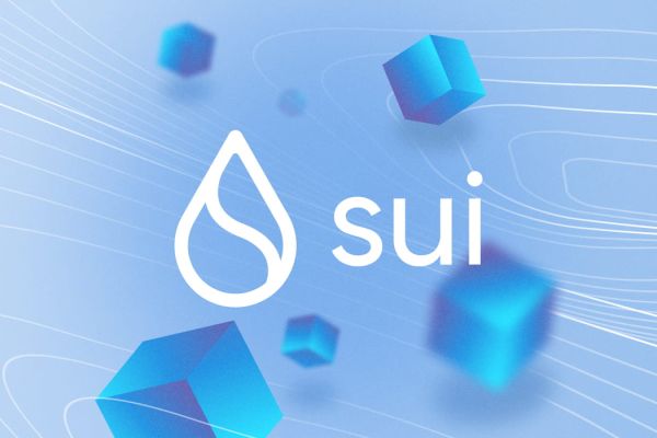 SUI Leads Crypto Market Recovery With 8% Rise Overnight