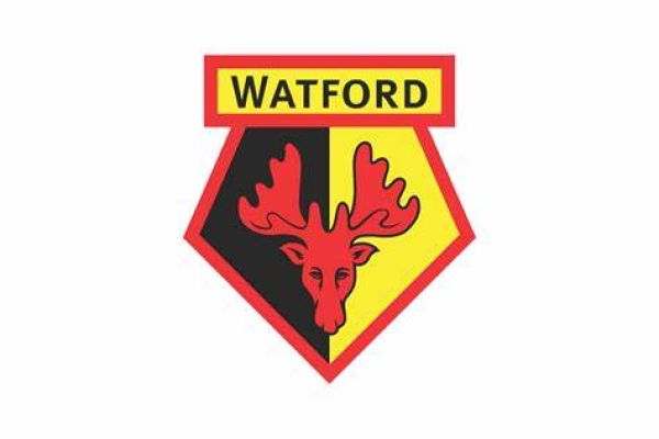 Watford FC to make 10% digital equity shares offering via Republic platform